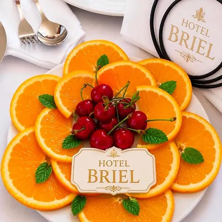 酒店 Briel 格勒姆
